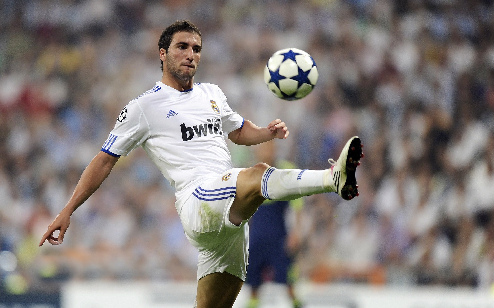 中国足球协会召开媒体见面会，中国足球协会会长是谁