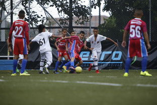 球队战术体系迎来全面革新，篮球全队战术分为